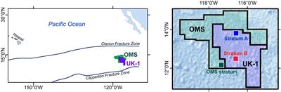 The Contribution of Fine Sieve Fractions (63–150 μm) to Foraminiferal Abundance and Diversity in an Area of the Eastern Pacific Ocean Licensed for Polymetallic Nodule Exploration